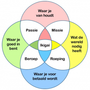 Loopbaancoaching - ikigai model