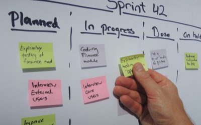 Organisatieontwikkeling en Agility