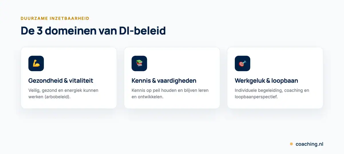 Infographic met de 3 domeinen van duurzame inzetbaarheid: gezondheid en vitaliteit, kennis en vaardigheden, en werkgeluk en loopbaan.