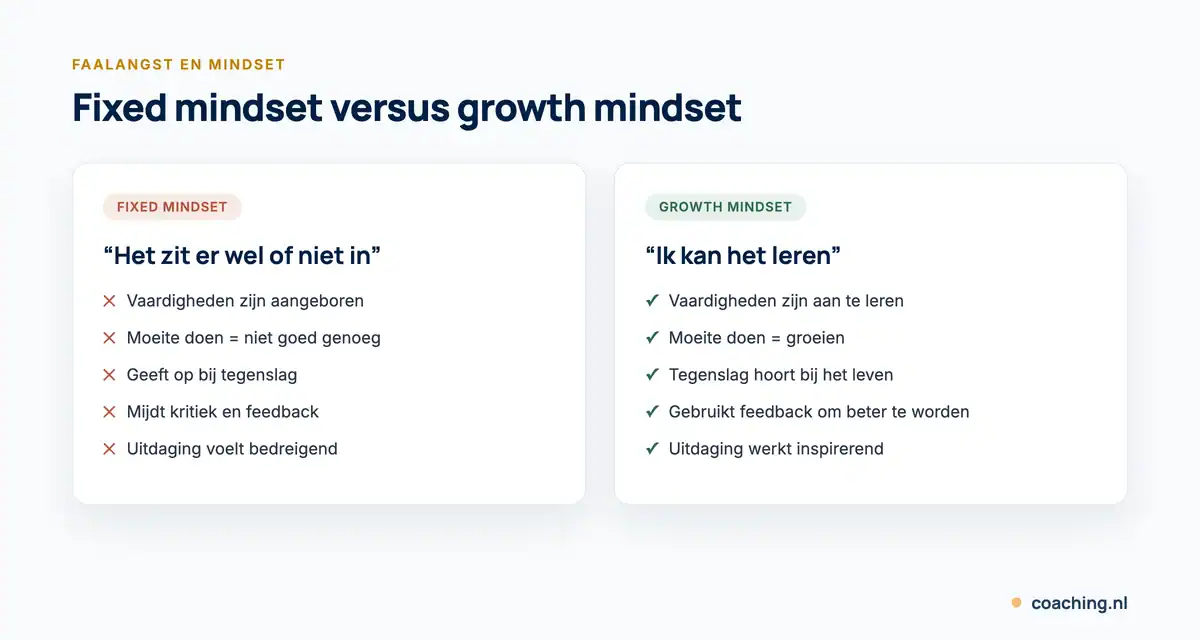 Infographic die een fixed mindset en een growth mindset vergelijkt bij faalangst: hoe je naar vaardigheden, tegenslag, feedback en uitdagingen kijkt.