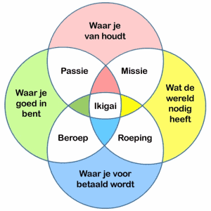 Het Ikigai-model