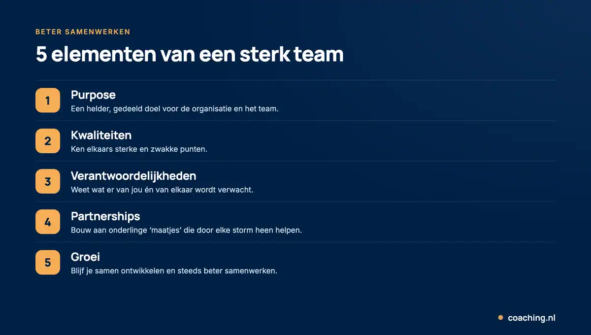 Infographic met 5 elementen van een sterk team: purpose, kwaliteiten, verantwoordelijkheden, partnerships en groei.